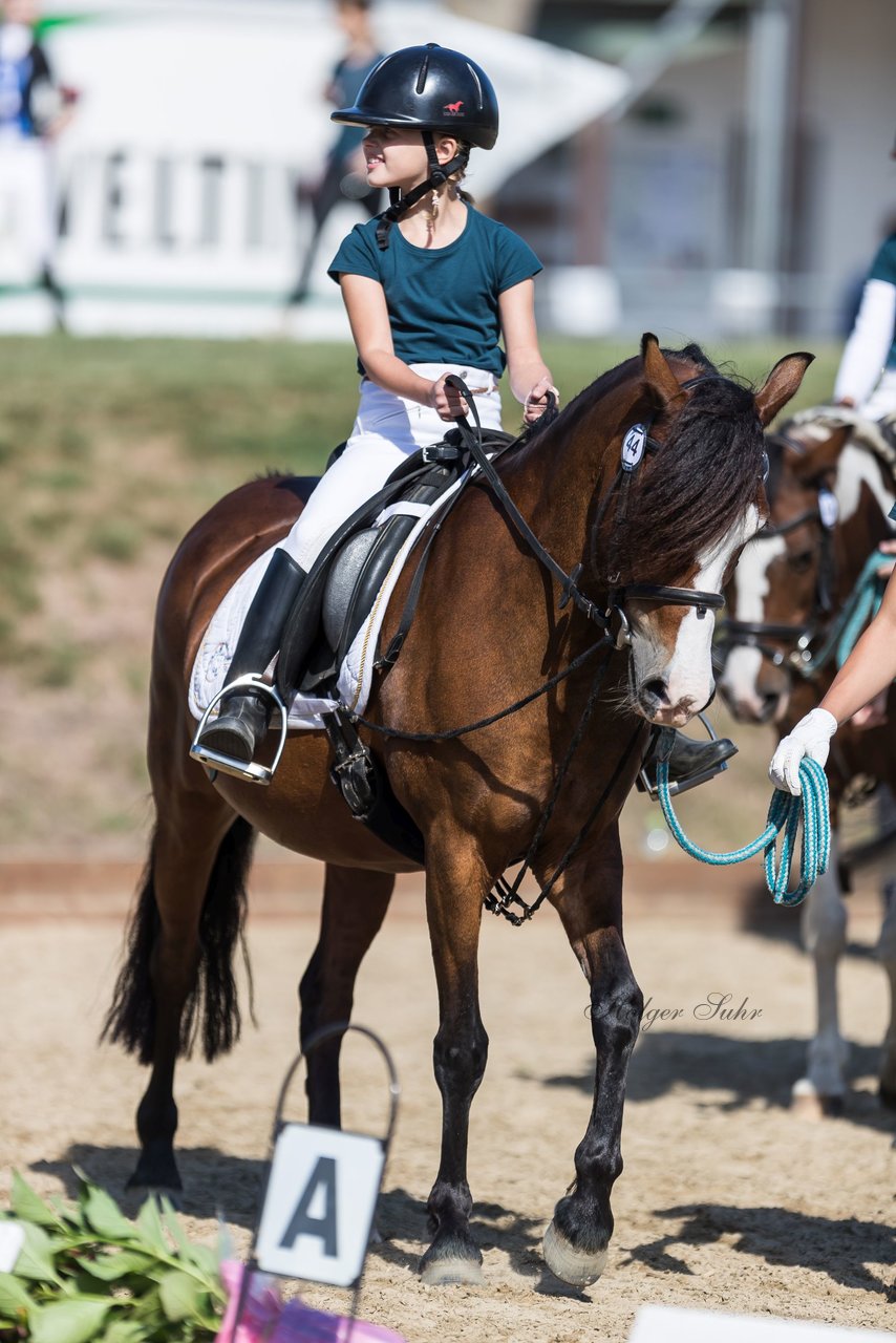 Bild 8 - Pony Akademie Turnier